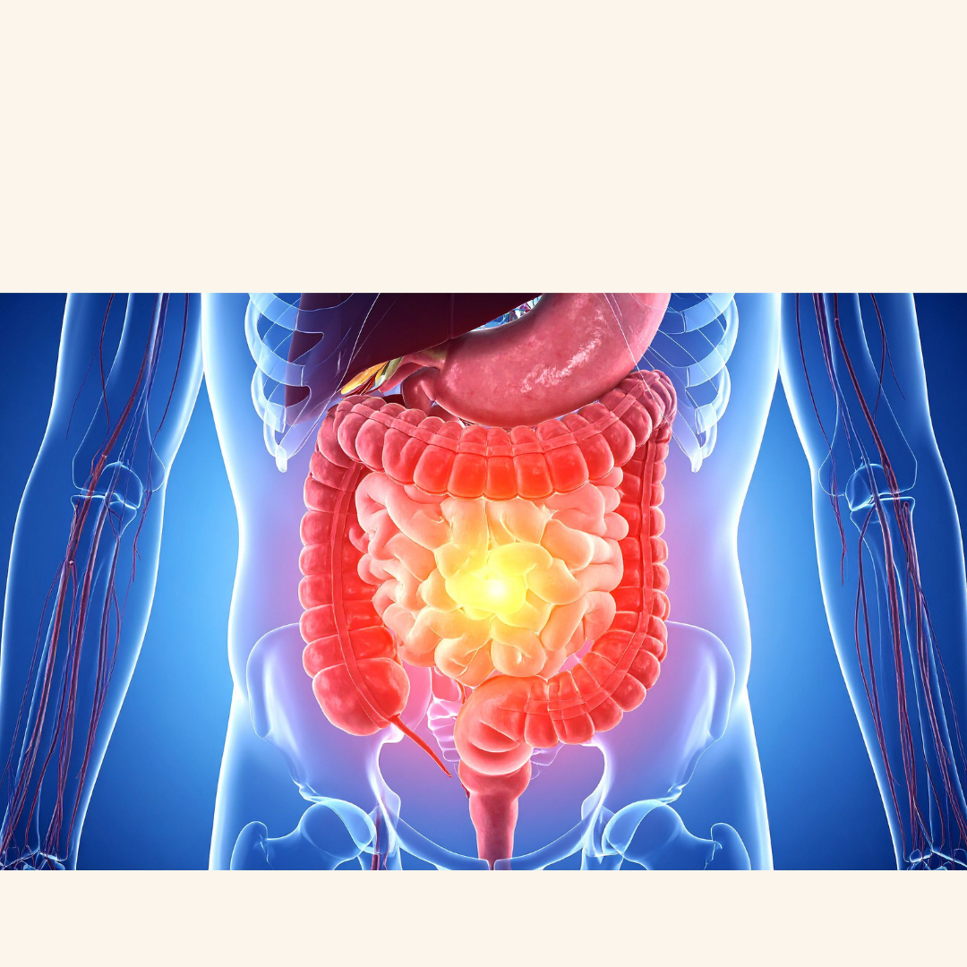 Watching the Nerve That Links the Gut and the Brain