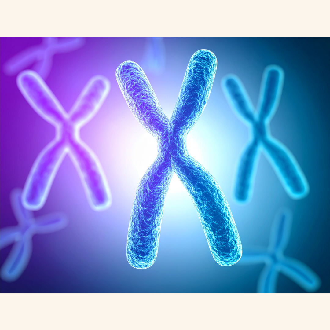 Small Genetic Glitches, Big Cellular Mess: How Lysosome Faults May Drive Early-Onset Parkinson’s