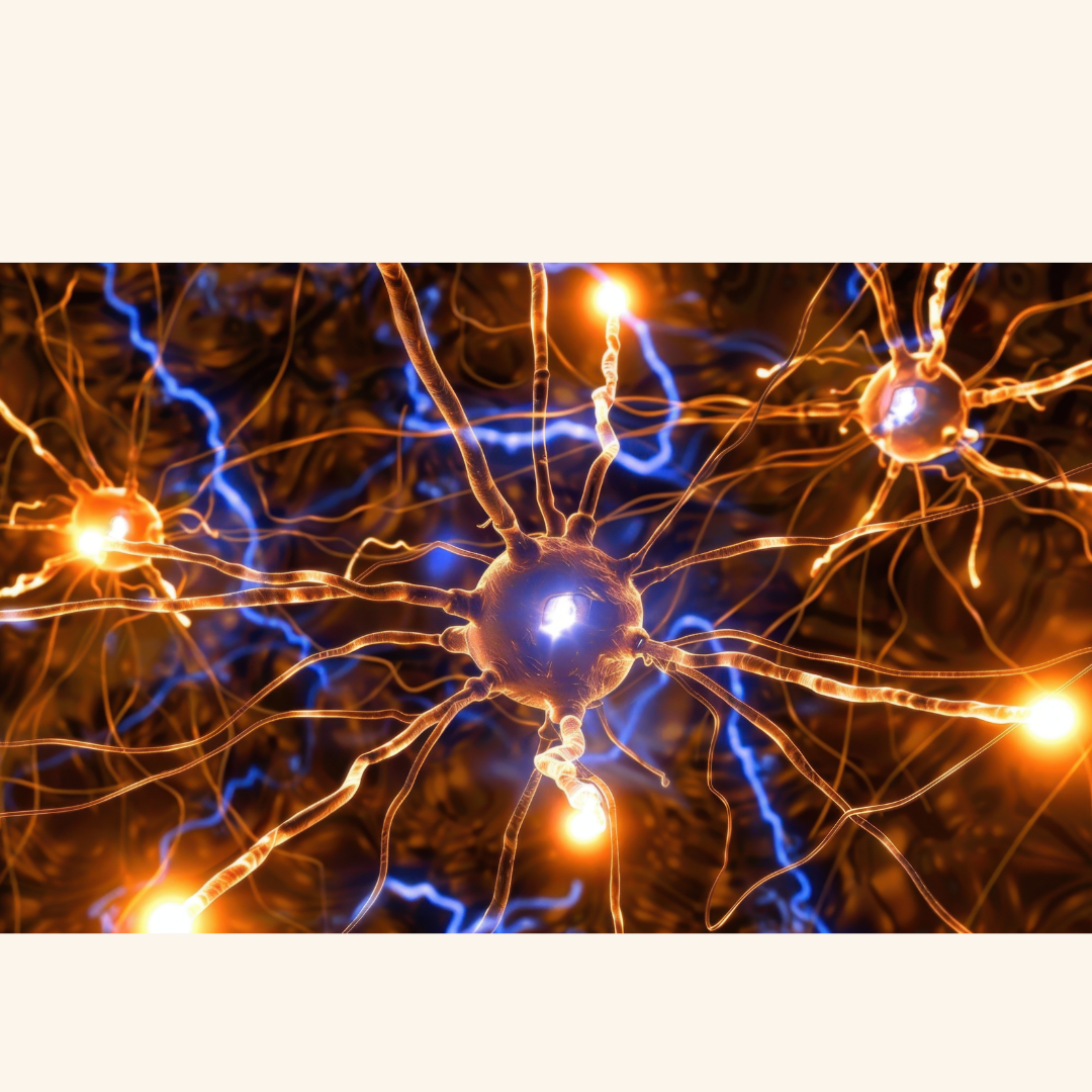 How L-Dopa Can Change the Brain