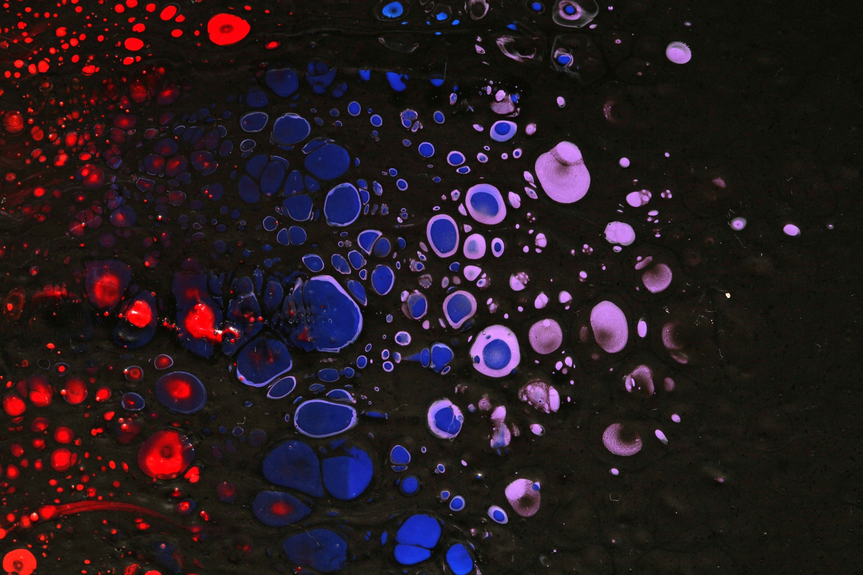 Chinese Company Behind Promising Cell Therapy UX-DA001