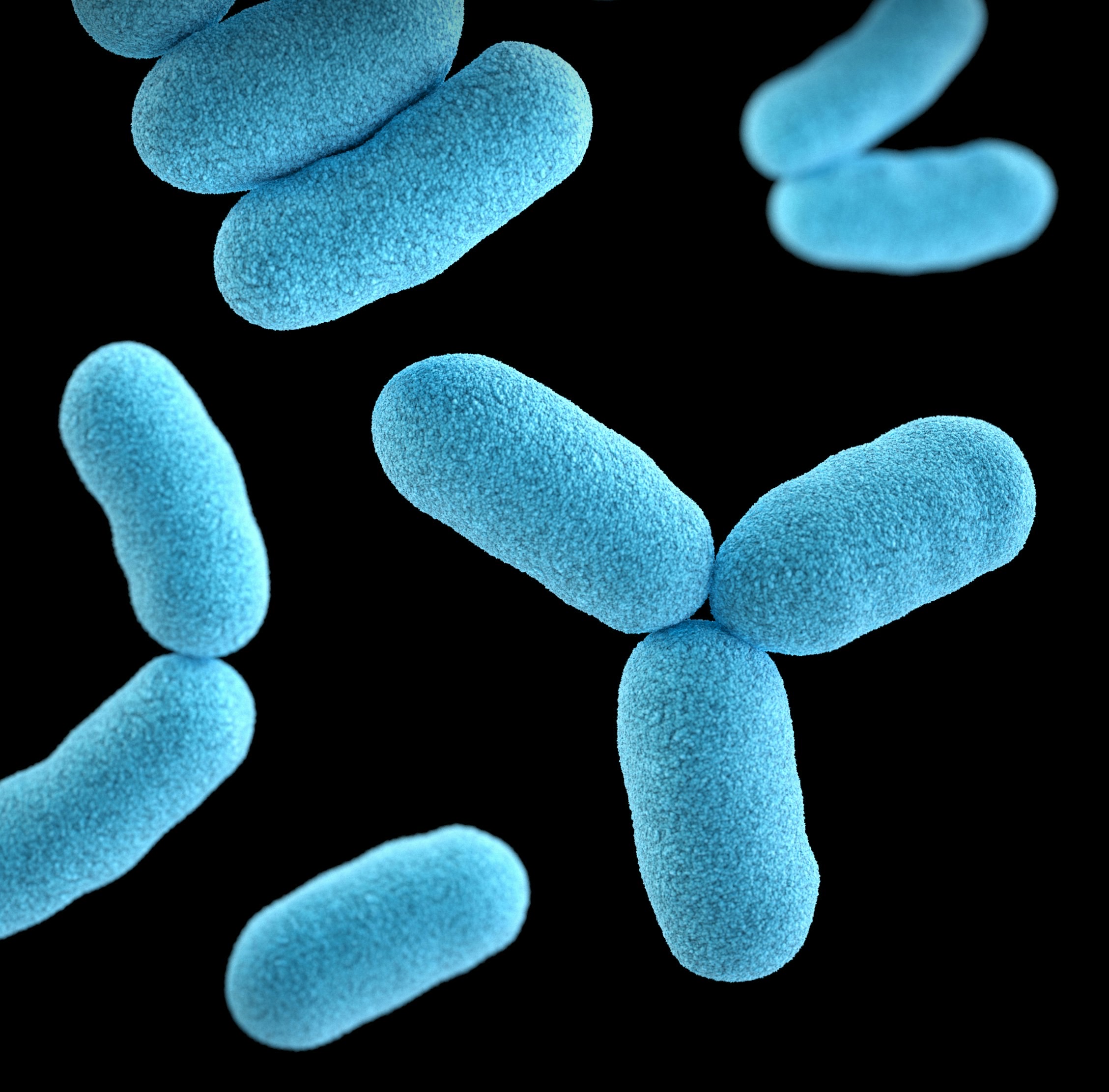 Engineering Gut Bacteria to Make L-DOPA Could Be a Game Changer for Parkinson’s