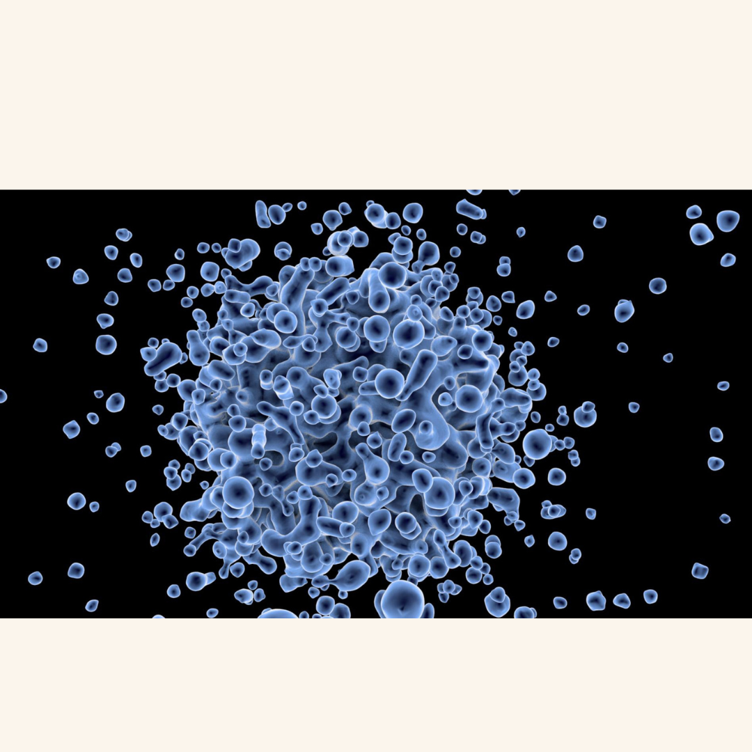 A $115 Million Vote of Confidence: Personalised Brain Repair for Parkinson’s