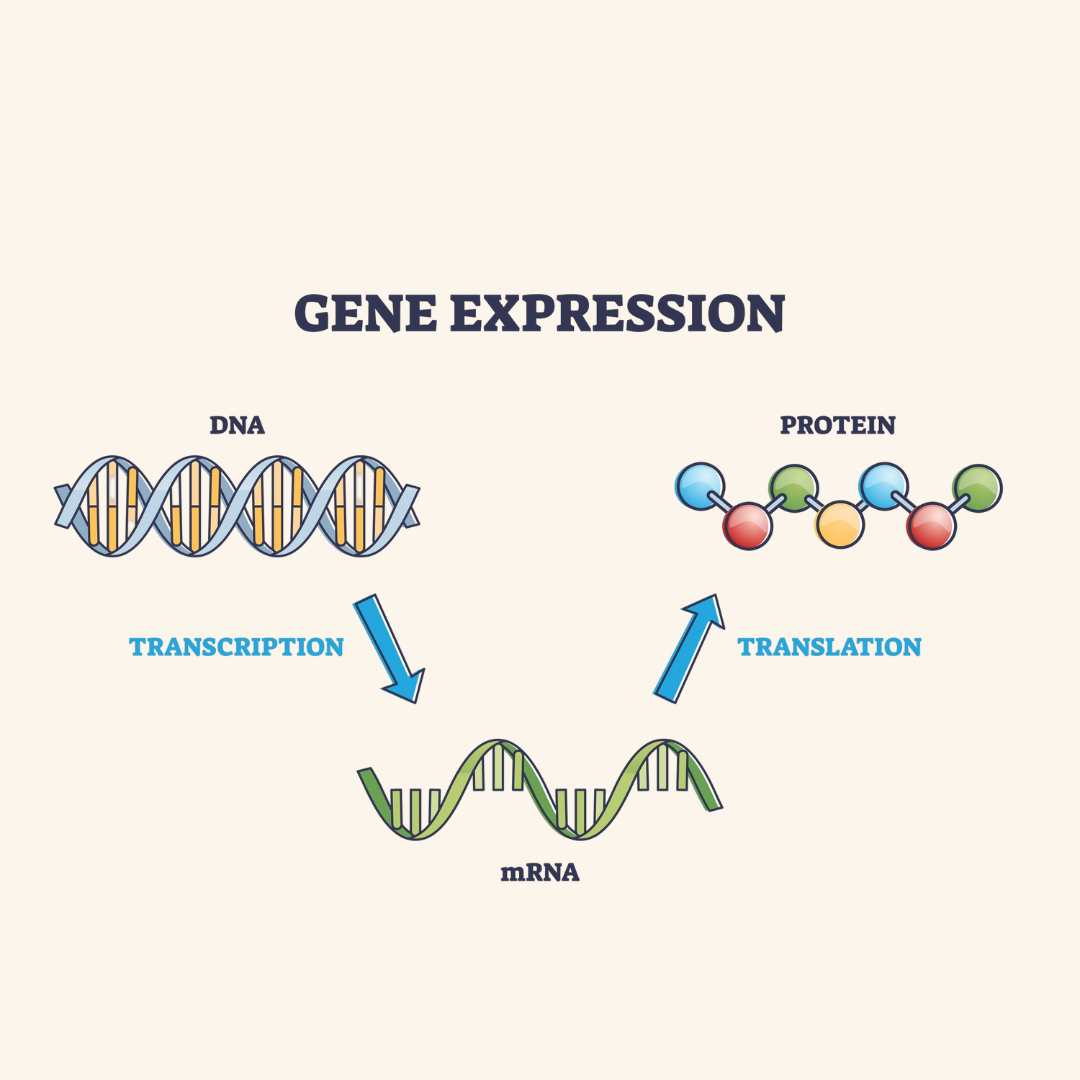 MicroRNAs: The Hidden Genetic Switches That Could Halt Parkinson's