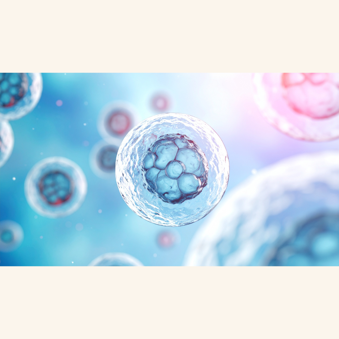 Regulatory Fast-Track: Chinese Biotech Wins FDA ‘RMAT’ Status for Stem Cell Breakthrough