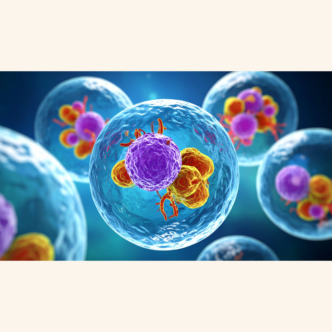 Keck Medicine of USC Implants Stem Cells to Restore Dopamine in 2026 Trial