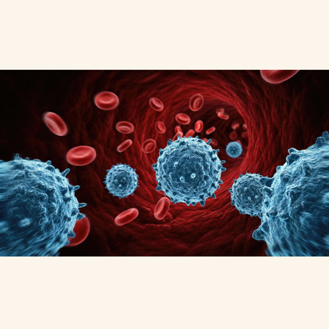 Gut Immune Cells Found to Help Parkinson’s Spread from Belly to Brain