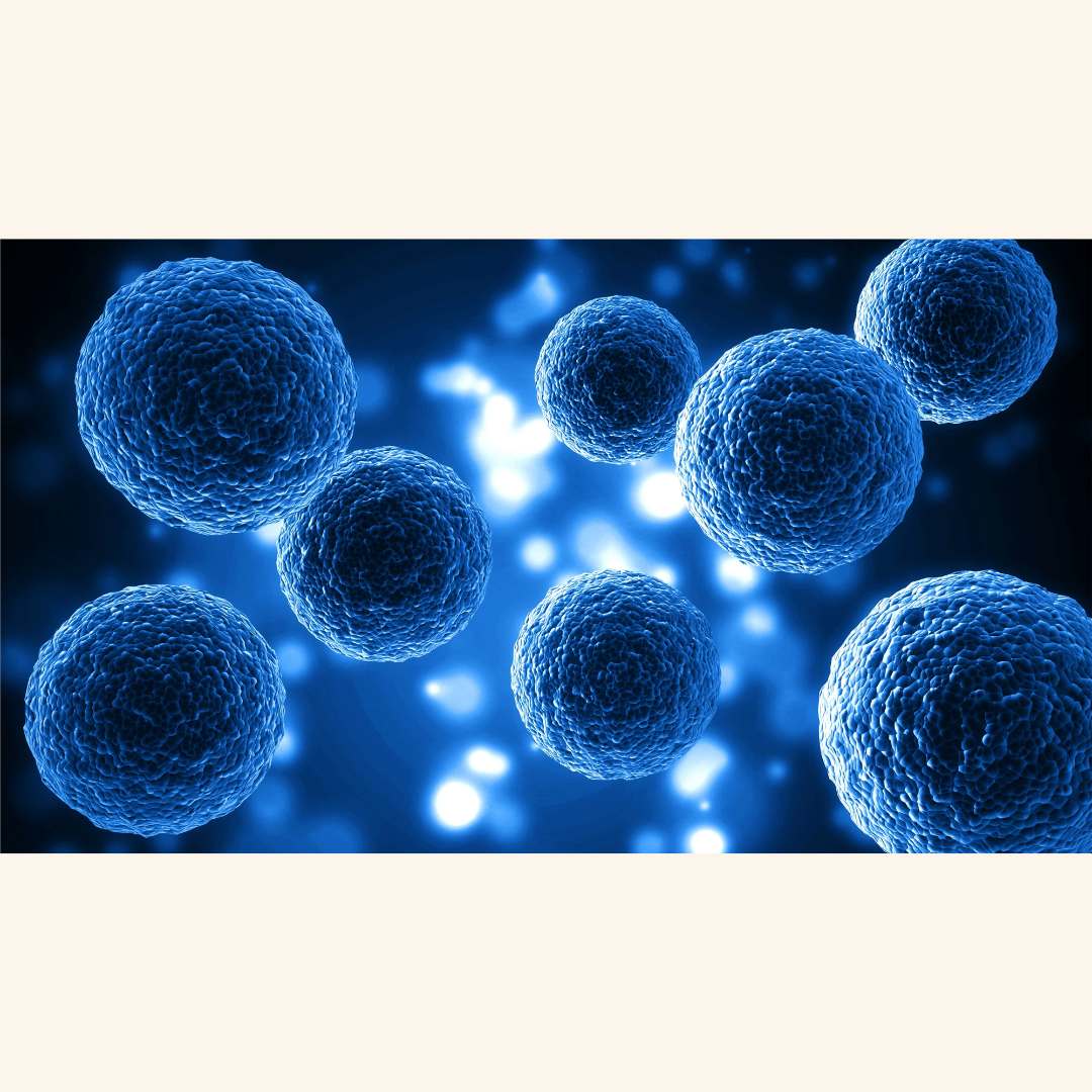 Japan Approves World’s First Stem Cell Treatment for Parkinson’s