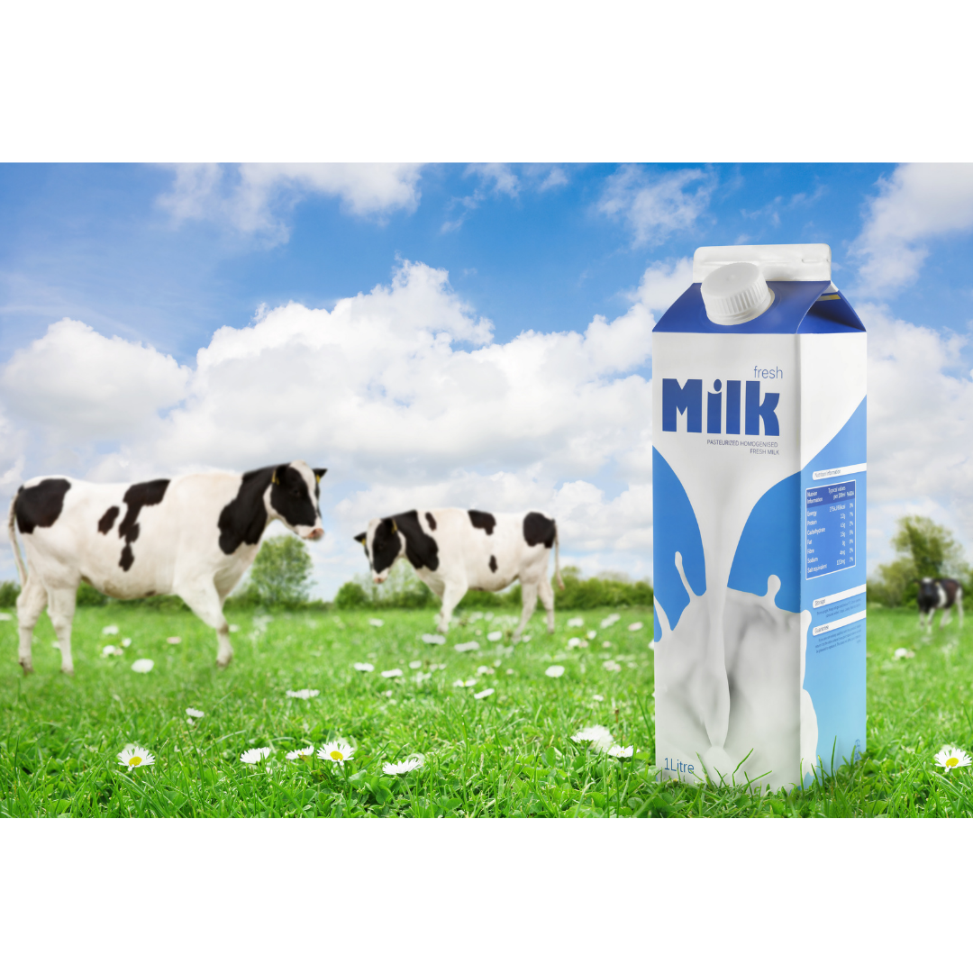 Dairy Consumption and Risk: A Major Meta-Analysis