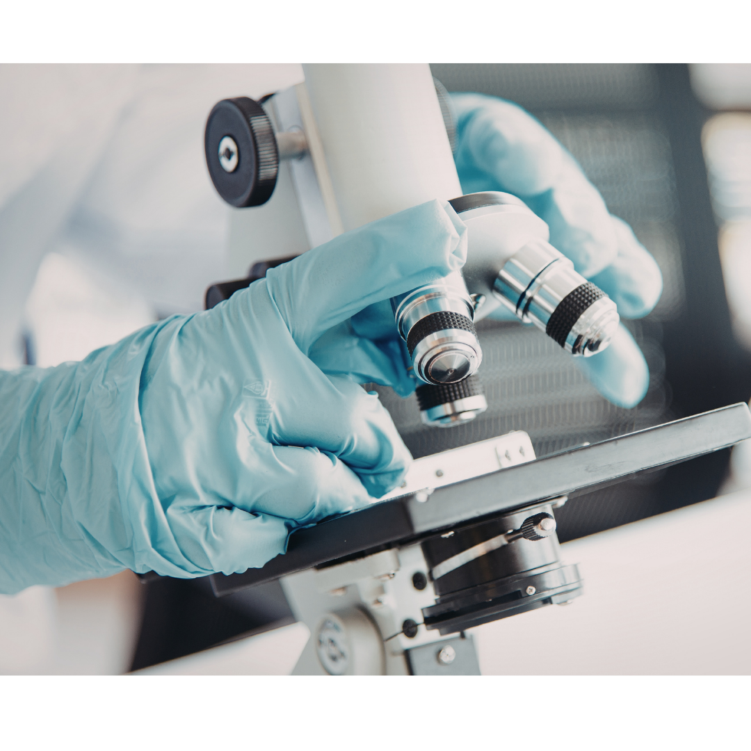 Alpha synuclein emerges as leading target in Parkinson’s disease pipeline