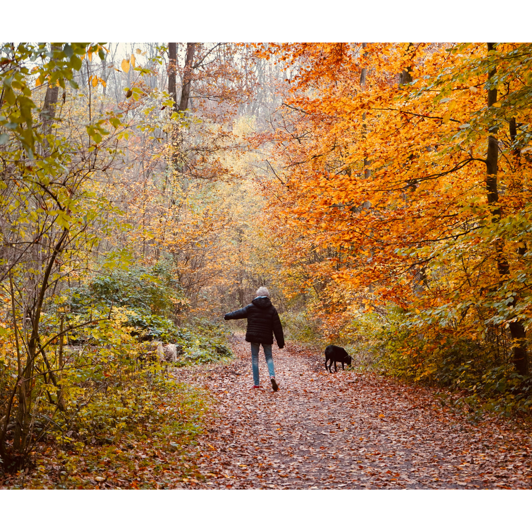 New Clinical Data Shows Pirepemat Reduces Falls