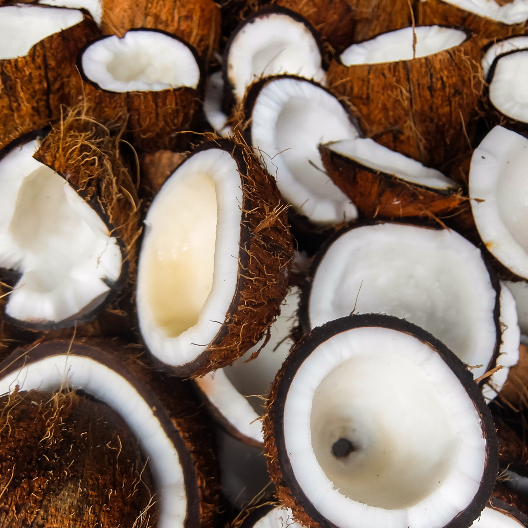 Coconut products and supplements may offer promising neuroprotective benefits for managing Parkinson's