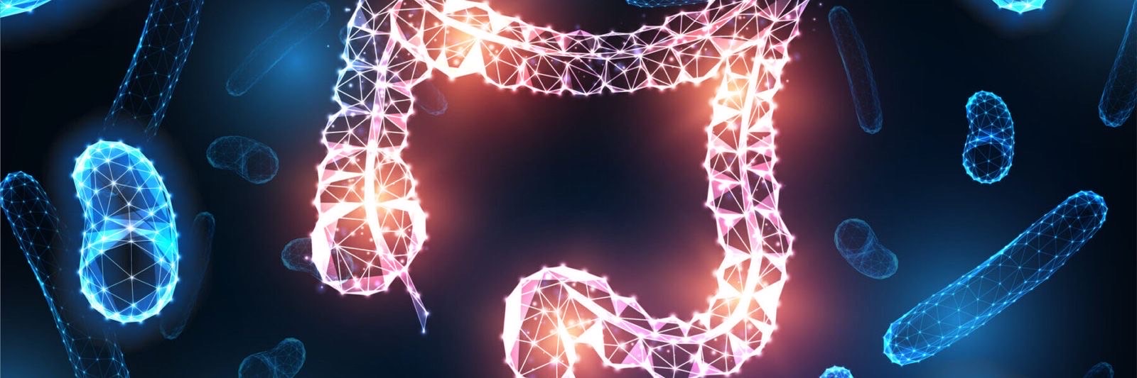 From Bowel to Brain: The Gut’s Role in Parkinson’s Disease