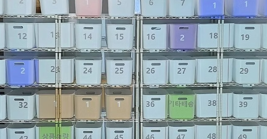 라이트다스