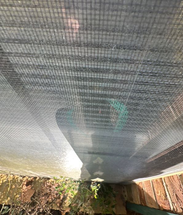 Roof Inspection in Canton, MS, photo 2