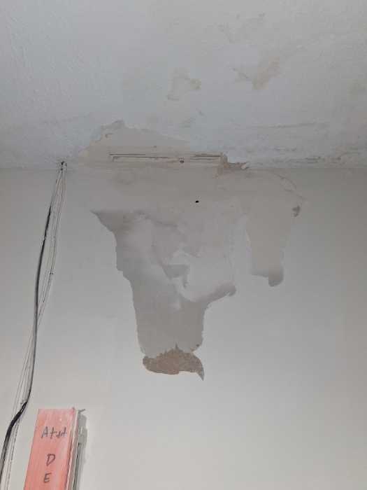 Mud ceiling and wall in Magee, MS, photo 2