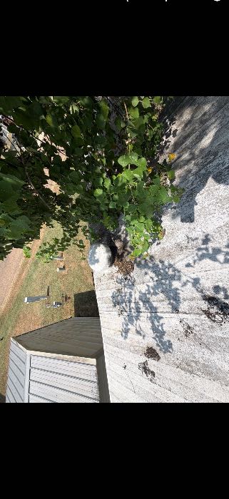 Inspected roof for damages and potential water access points in Ridgeland, MS, photo 4