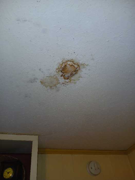 Repair water leak in the ceiling in Jackson, MS, photo 4