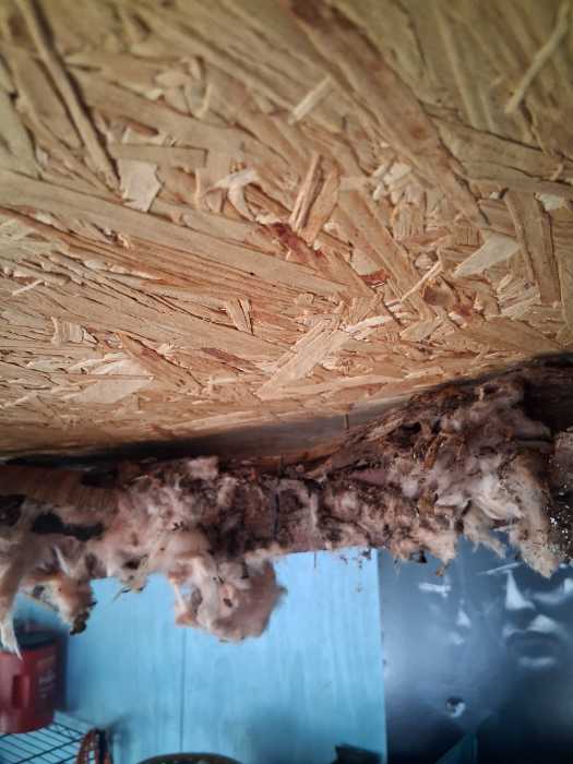 Replacing damaged soffit under back porch replacing old rotten insulation in Jackson, MS