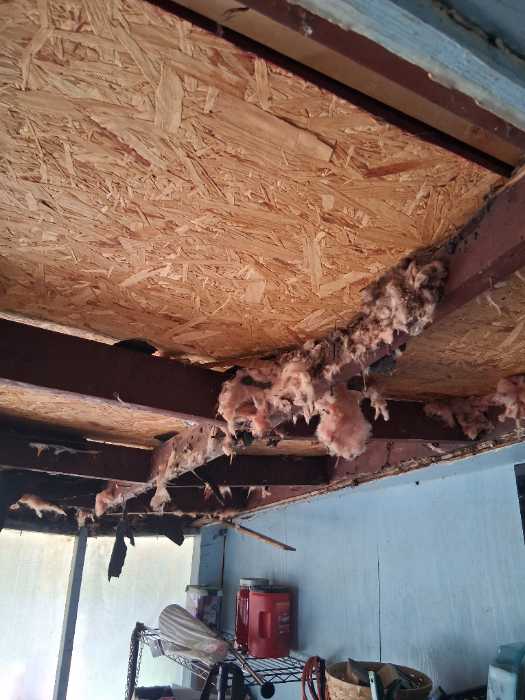 Replacing damaged soffit under back porch replacing old rotten insulation in Jackson, MS, photo 2