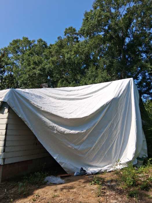Install temporary waterproof barrier over exposed framing on roof system in Terry, MS, photo 2