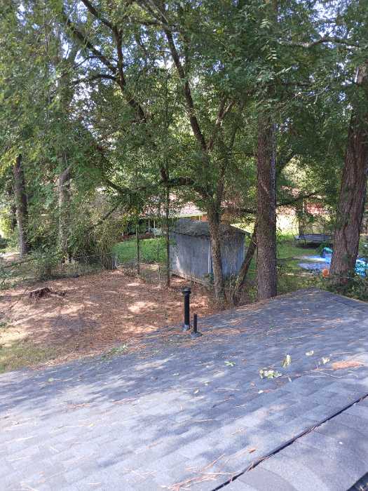 Cutting limbs back from the roof in Pearl, MS