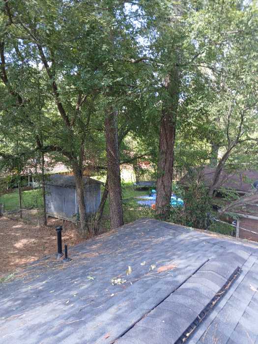Cutting limbs back from the roof in Pearl, MS, photo 2