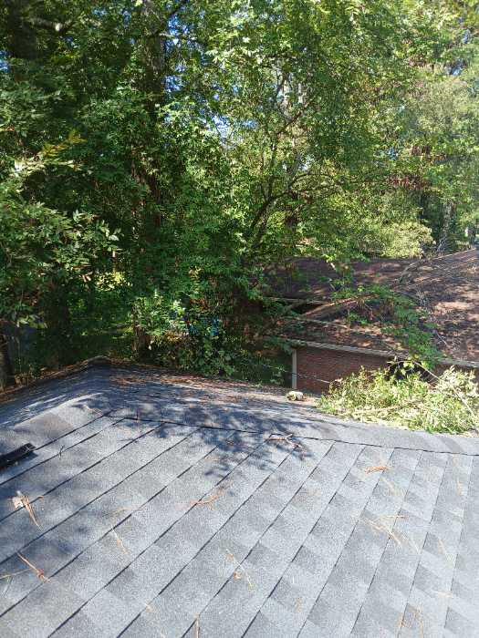Cutting limbs back from the roof in Pearl, MS, photo 3