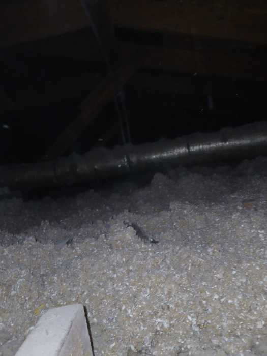 Spraying, instant insulation in an attic in Pearl, MS, photo 5