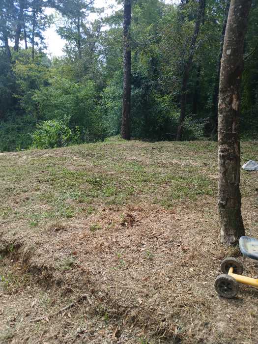 Cutting grass down in Terry, MS, photo 2