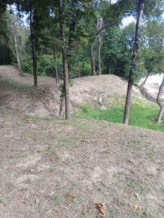 Cutting grass down in Terry, MS, photo 3