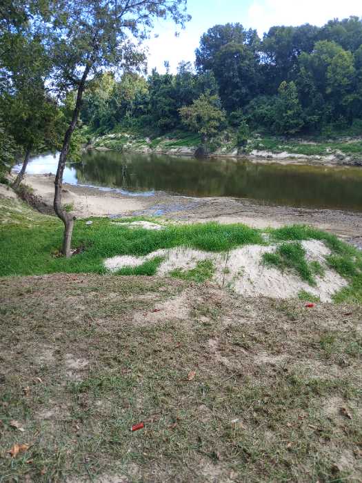 Cutting grass down in Terry, MS, photo 4