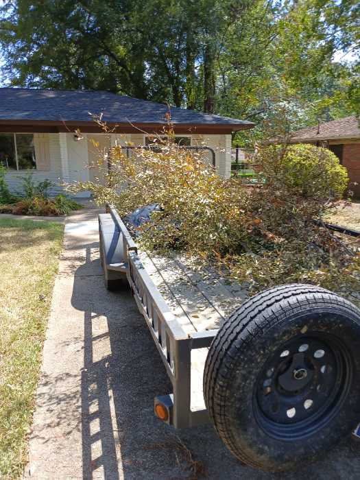 Remove branches from a house and haul them away in Pearl, MS, photo 2