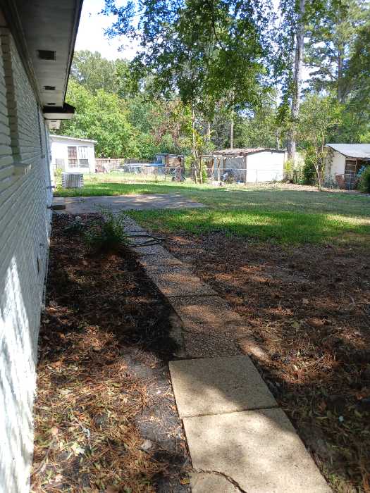 Remove branches from a house and haul them away in Pearl, MS, photo 3