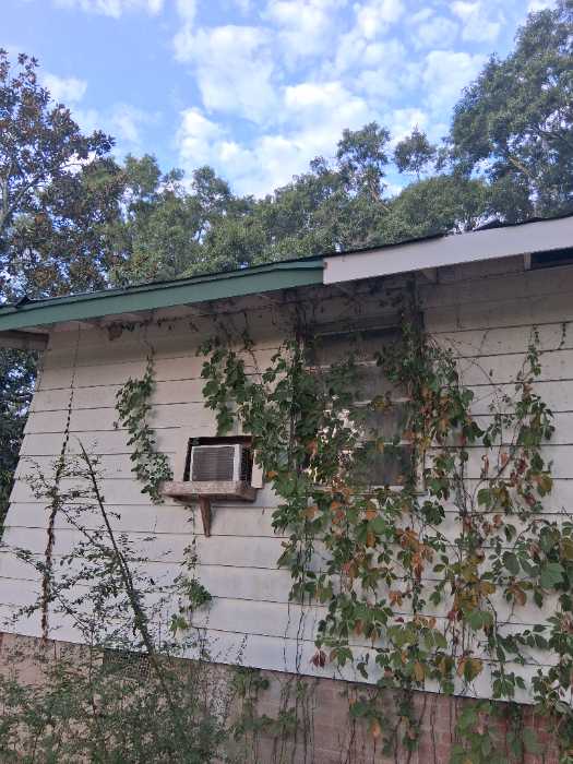 Roof inspection in Terry, MS, photo 5