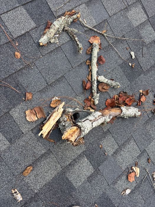 Inspected roof for cause of leak in Crystal Springs, MS, photo 2