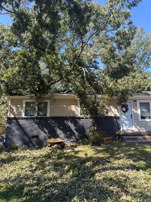 Tree fell on home in Pearl, MS