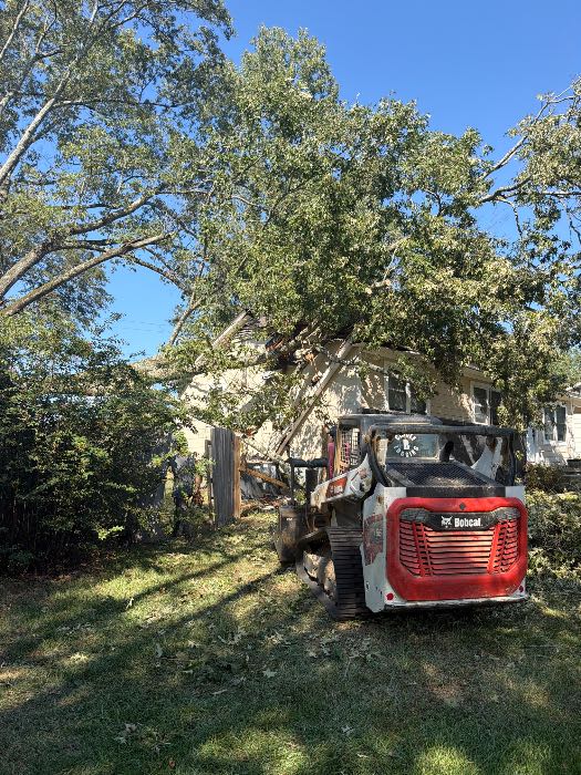 Tree fell on home in Pearl, MS, photo 3