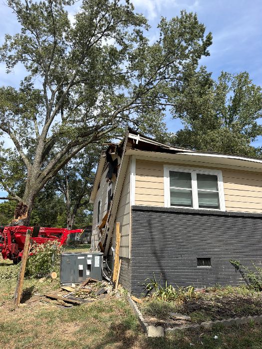 Inspection of home after tree fell and has now been removed in Pearl, MS