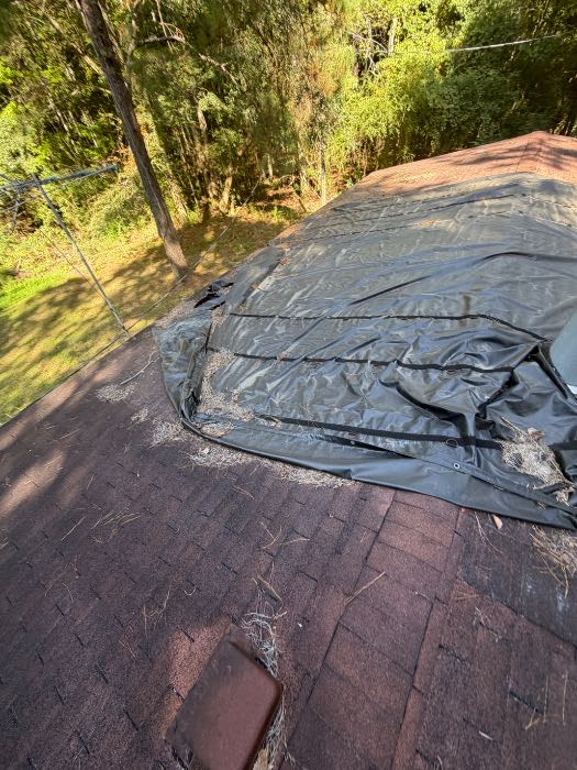 Roof inspection for storm damages in Magee, MS, photo 6