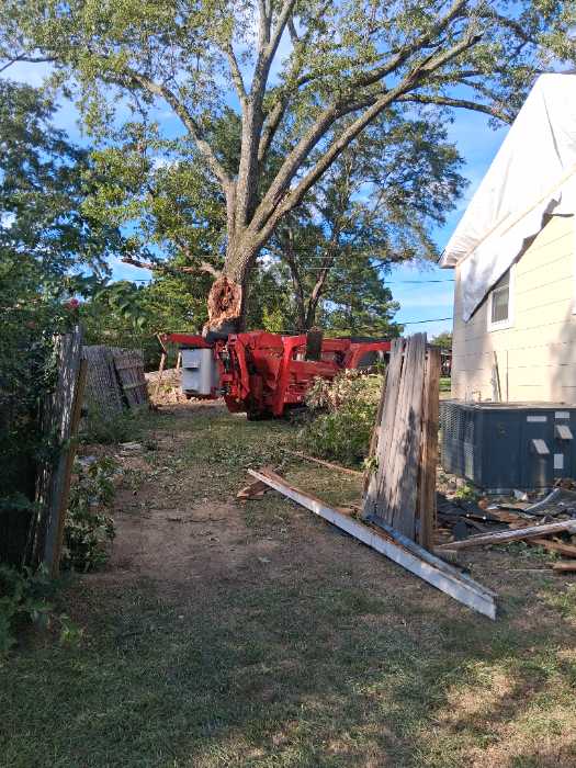 Tree fell damage house putting on temporary roof before roof install in Pearl, MS, photo 3
