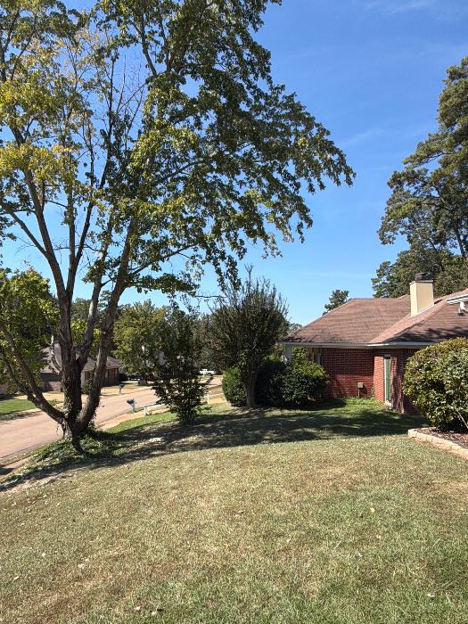 Roof evaluation and tree over house evaluation in Brandon, MS