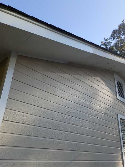 Painting trim around the house in Brandon, MS, photo 2
