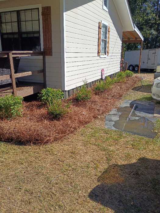Planting flowers and laying pine straw in Brandon, MS, photo 2