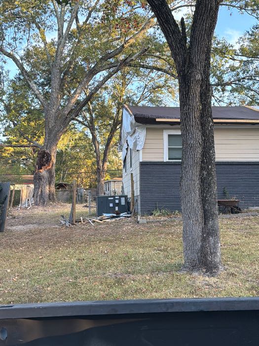 Tree damage repair project in Pearl, MS