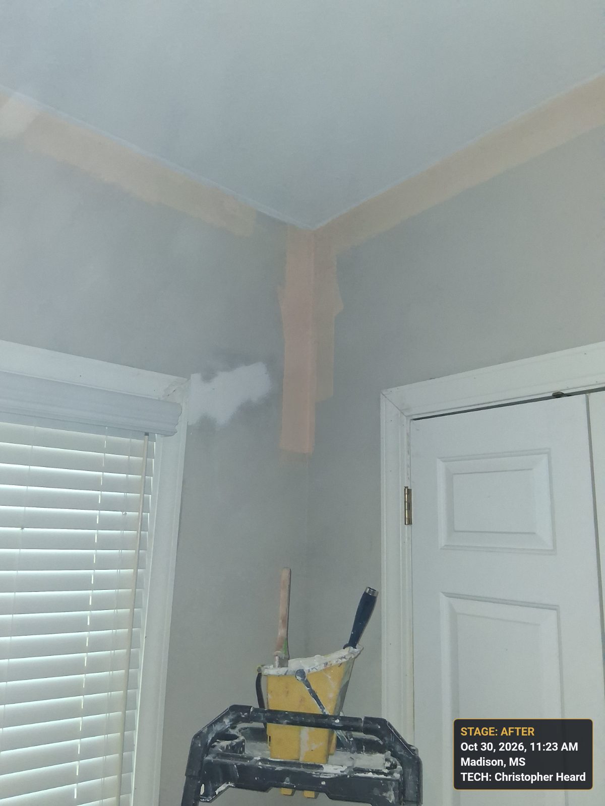 Painting interior of house in Madison, MS