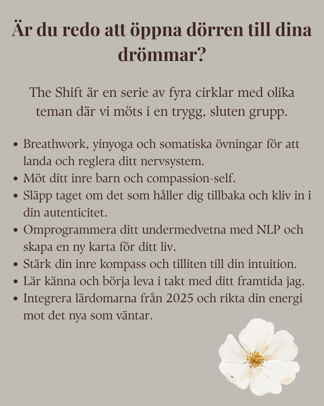 The Shift - kvinnocirklar
