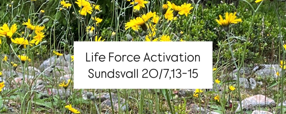 Life Force Activation, 20 Juli, Sundsvall