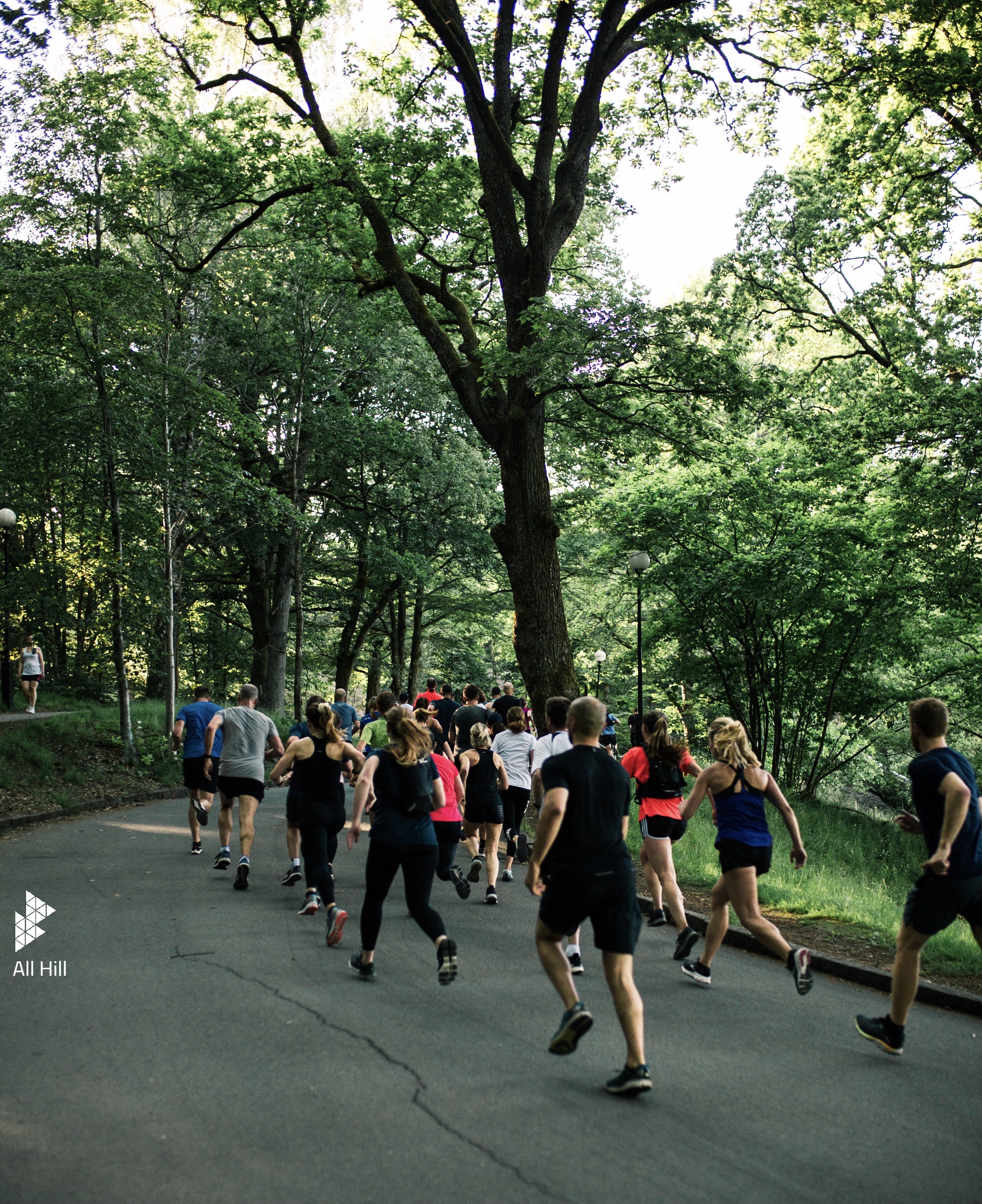 GRC - All Hill (Skansen Kronan)