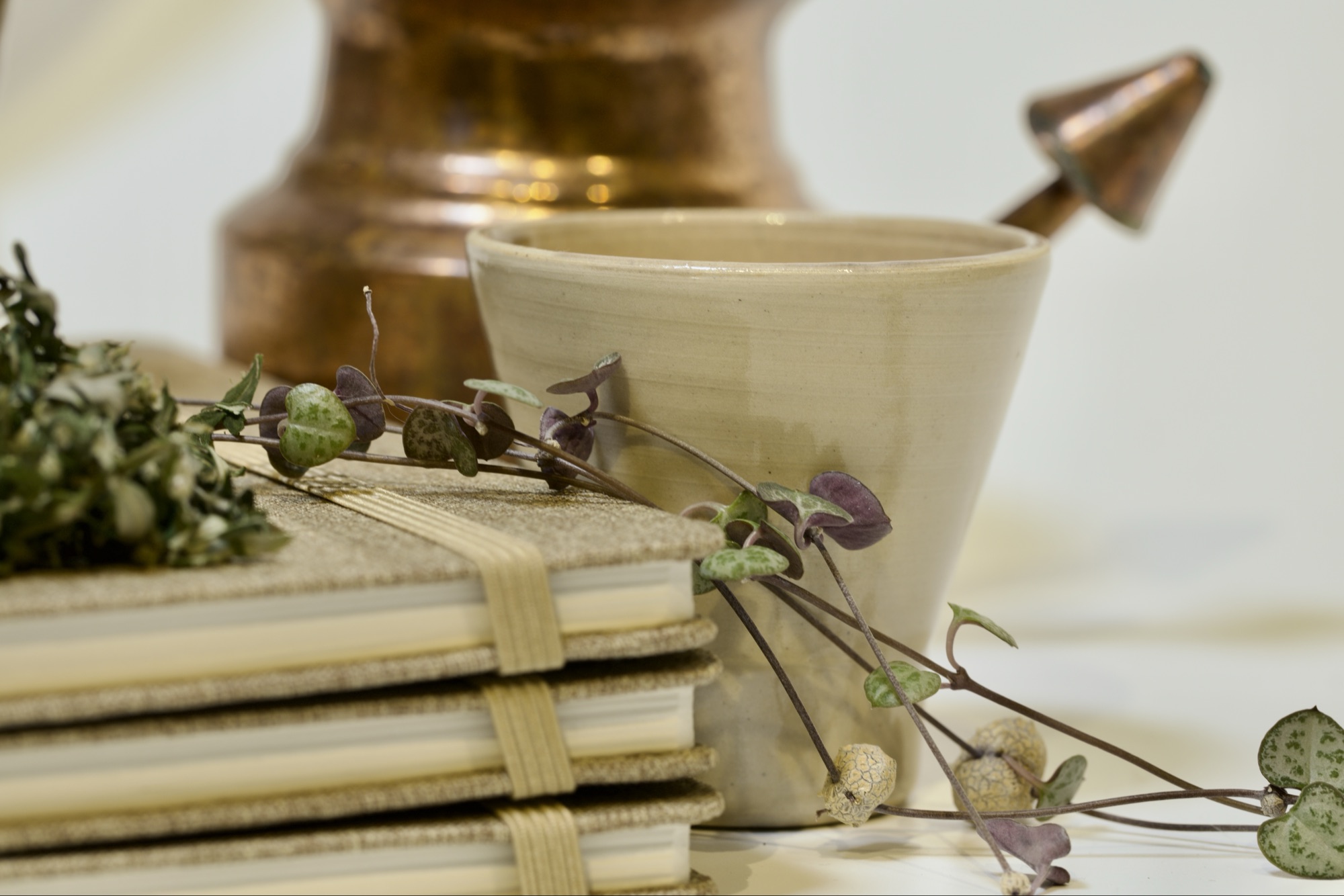 Ayurvedakurs - AYURVEDA STEGET VIDARE - helgkurs