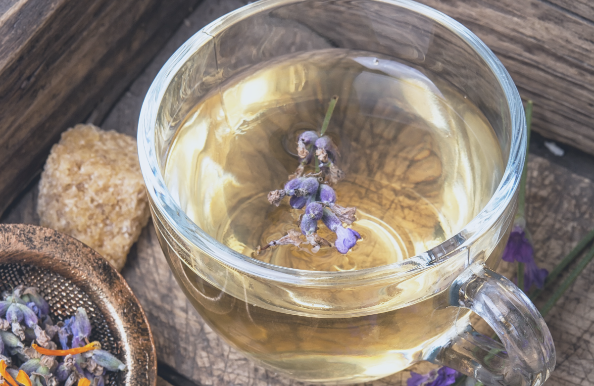 Healingcirkel ♏︎Nymånen i Skorpionen – Studio Celestine